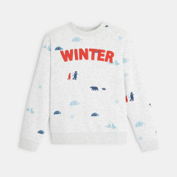 Sweat-shirt imprimé motif sports d'hiver