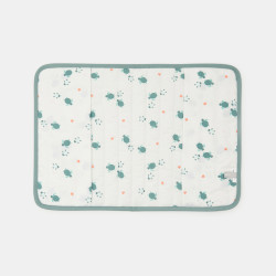 Newborn green tortoise...